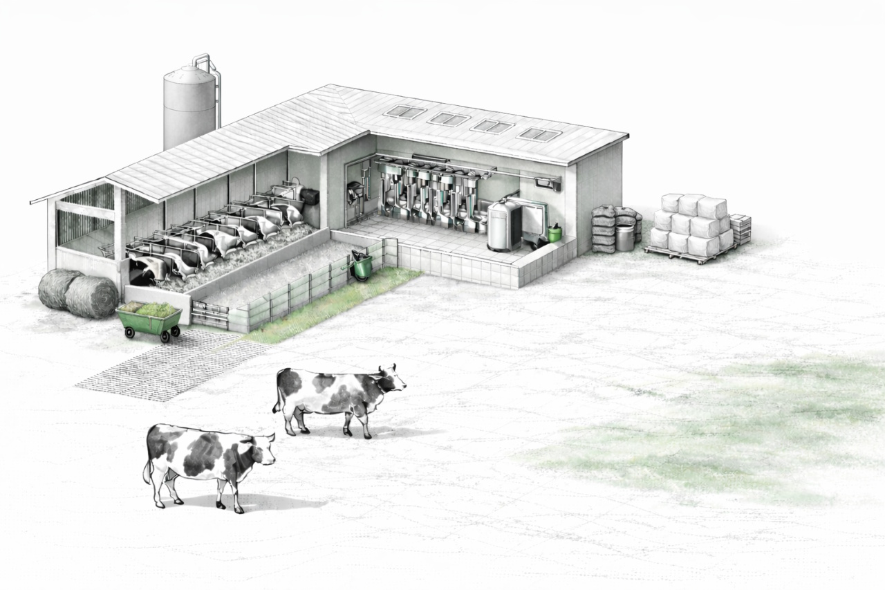 Solutions Bovins ID AGRI